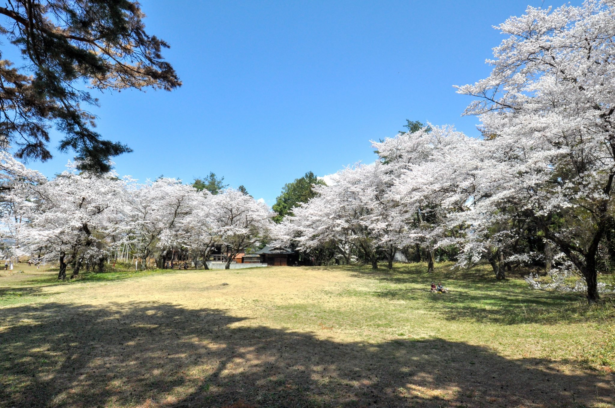 🏯 신푸 성터 이미지 5